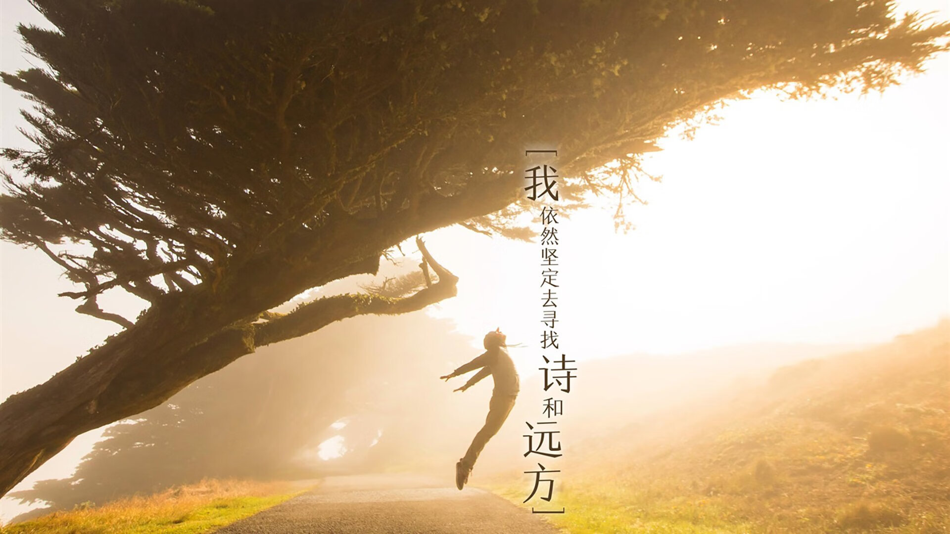 双城记，莫兰特在关键战役中击穿篮球的两种生存法则