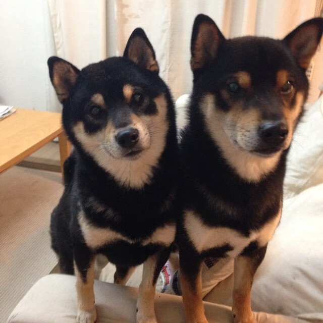 黑暗骑士崛起,迪亚斯在揭幕战之夜,带领一支觉醒的车队驶入黎明