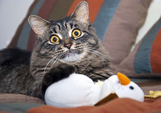 当贝恩的子弹射穿1969，一场被窃取的世纪复仇