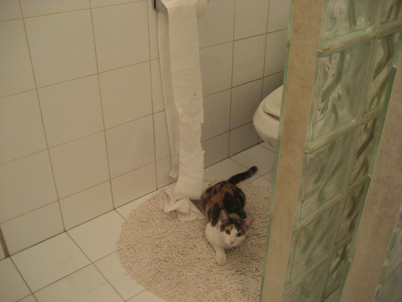 卡瓦哈尔爆发!巴黎圣日耳曼淘汰赛惊险过关沙特阿尔希拉尔