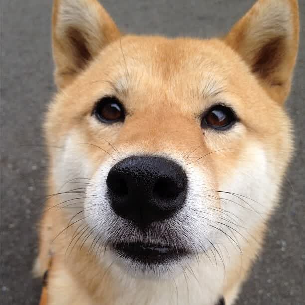 扩展与构思