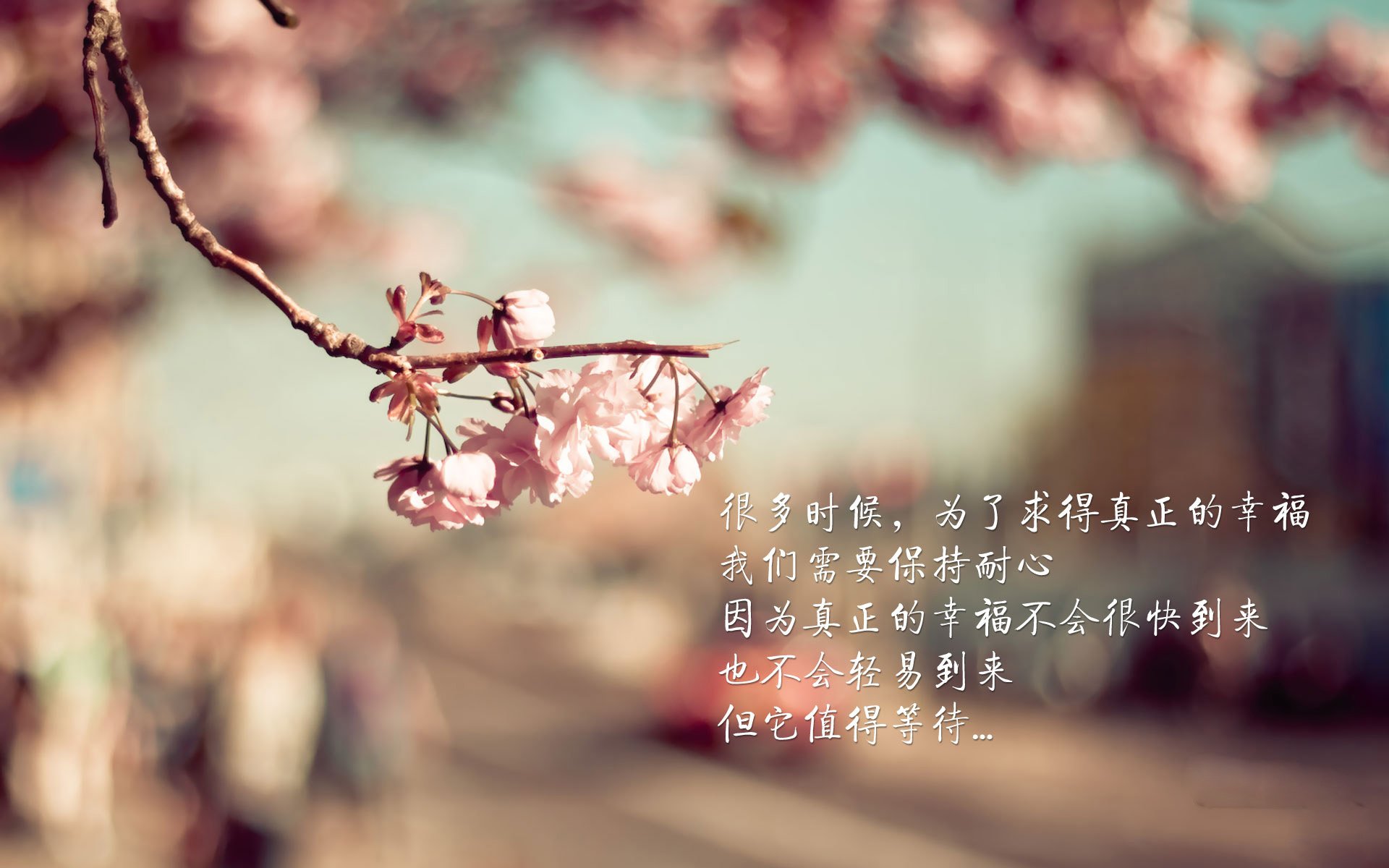 阿兹特克雄鹰刺破天蓝 佩德里之剑写下唯一传奇